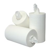 Mini Poetspapier Esteticrol zk Cellulose 2L 60 m x 20 cm - 12 rollen